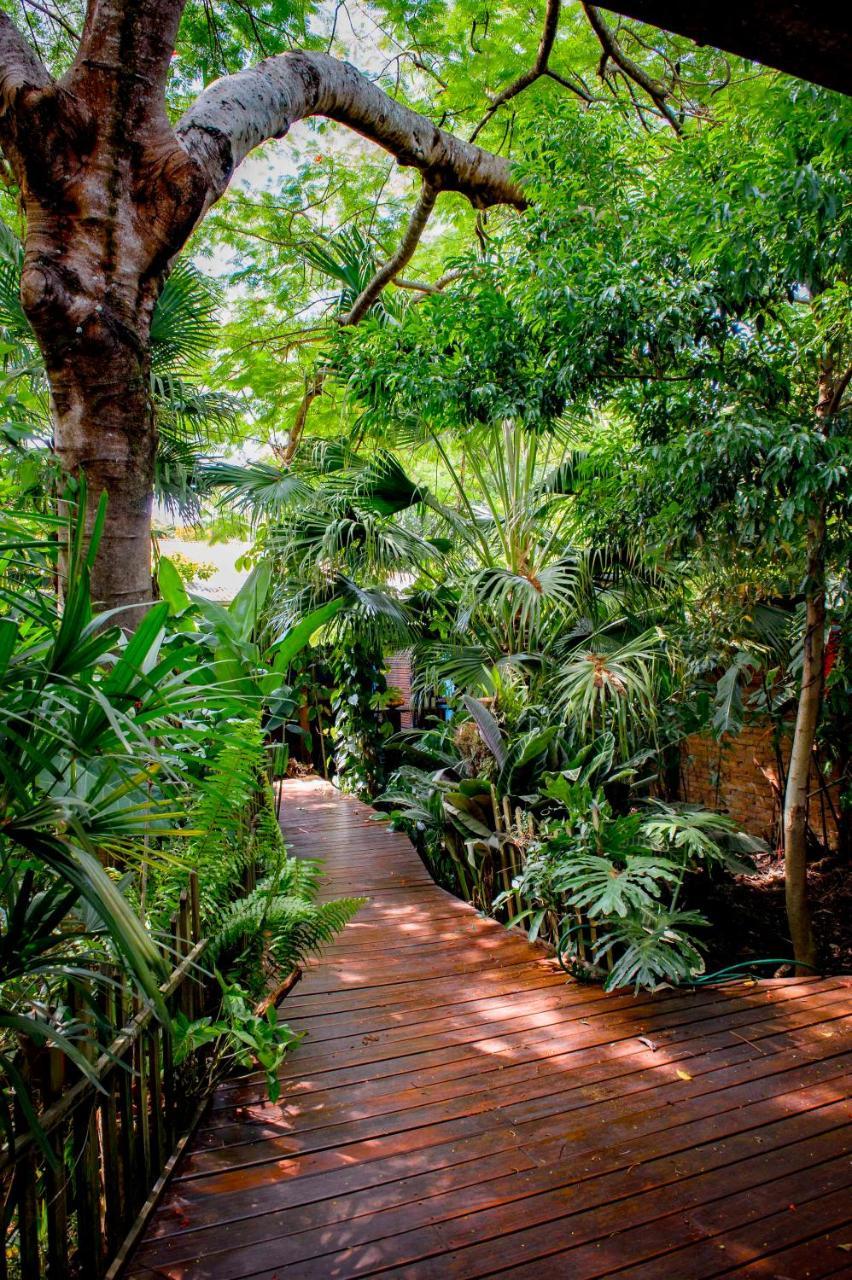 Bed and Breakfast Secret Garden Iguazu Пуэрто-Игуасу Экстерьер фото